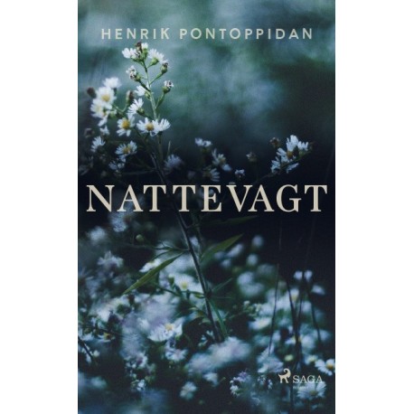 Nattevagt