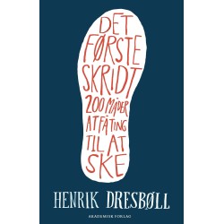 Det første skridt: 200 møder at få ting til at ske