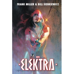 Elektra: Daredevil