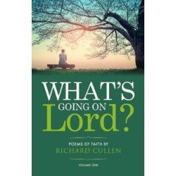 What's Going on Lord?