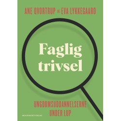Faglig trivsel: Ungdomsuddannelserne under LUP
