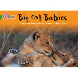 Big Cat Babies: Band 05/Green