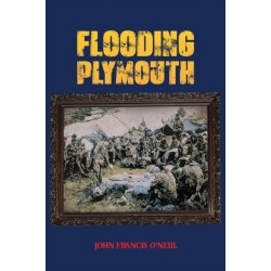 Flooding Plymouth