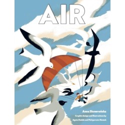 Air