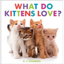 What Do Kittens Love?
