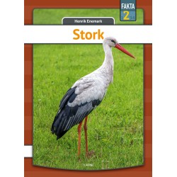 Stork