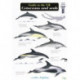 Guide to the UK Cetaceans and Seals