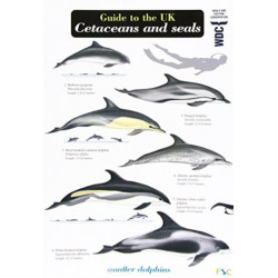 Guide to the UK Cetaceans and Seals