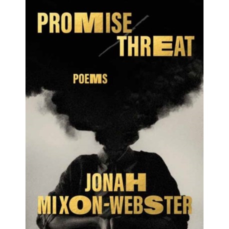 Promise/Threat: Poems