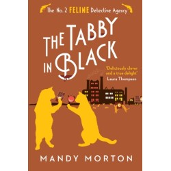 The Tabby in Black