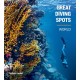 Great Diving Spots - World