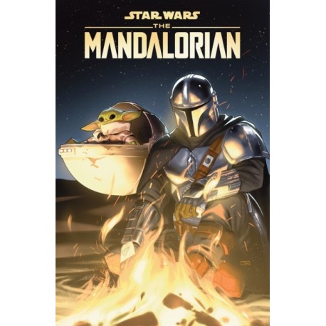 Star Wars: The Mandalorian - Seasons One & Two