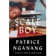 Scale Boy: An African Childhood