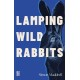 lamping wild rabbits