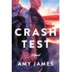 Crash Test: A Novel
