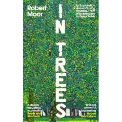 In Trees: An Exploration of Ancient Living Wisdom, From Wild Branches to Deep Roots