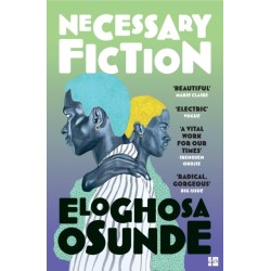 Necessary Fiction