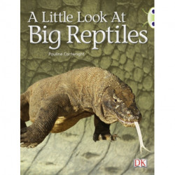 Bug Club Guided Non Fiction Year 1 Blue B A Little Look at Big Reptiles