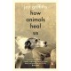 How Animals Heal Us