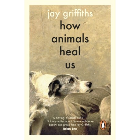 How Animals Heal Us