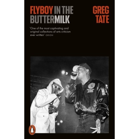 Flyboy in the Buttermilk: Essays on Contemporary America