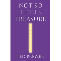 Not So Hidden Treasure