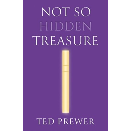 Not So Hidden Treasure