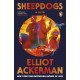 Sheepdogs