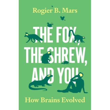 The Fox, the Shrew, and You: How Brains Evolved