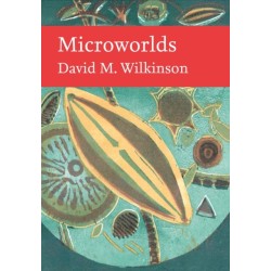 Microworlds
