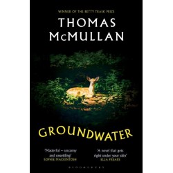 Groundwater: ‘Complex, chilling, masterful' Financial Times