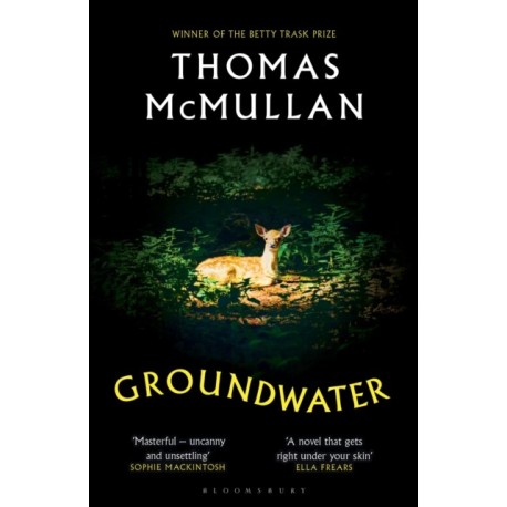 Groundwater: ‘Complex, chilling, masterful' Financial Times