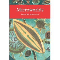 Microworlds