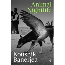 Animal Nightlife