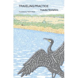 Traveling Practice