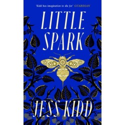 Little Spark