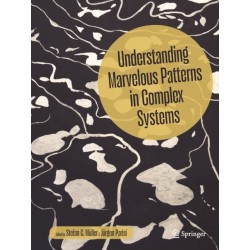 Understanding Marvelous Patterns in Complex Systems
