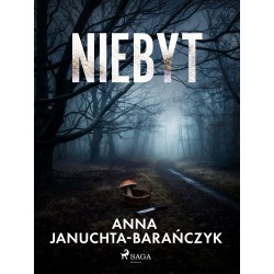 Niebyt
