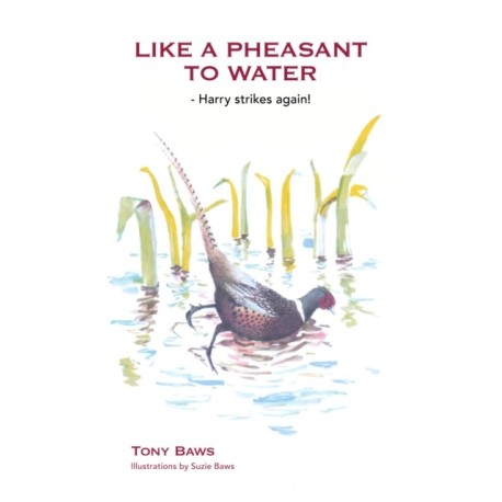 Like a Pheasant to Water: Harry strikes again