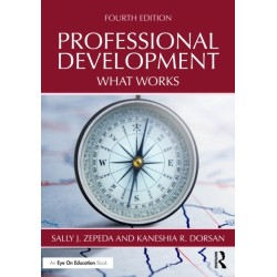 Professional Development: What Works