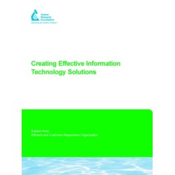 Creating Effective Information Technology Solutions