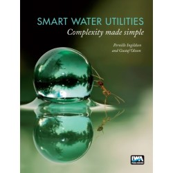 Smart Water Utilities: Complexity Made Simple