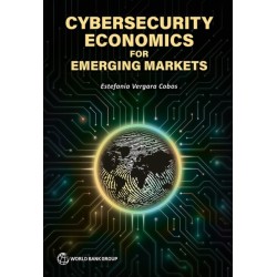 Cybersecurity Economics for Emerging Markets