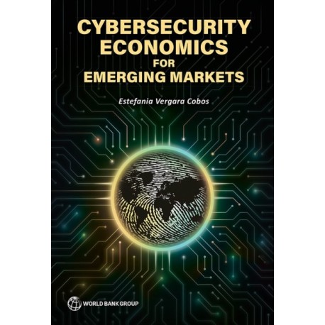 Cybersecurity Economics for Emerging Markets