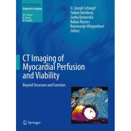 CT Imaging of Myocardial Perfusion and Viability: Beyond Structure and Function