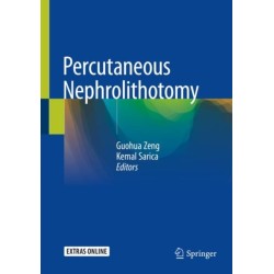 Percutaneous Nephrolithotomy