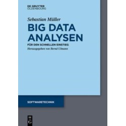 Big Data Analysen