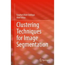 Clustering Techniques for Image Segmentation