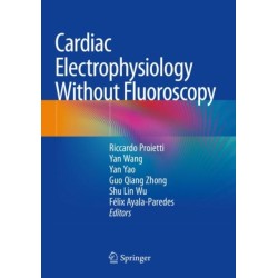Cardiac Electrophysiology Without Fluoroscopy