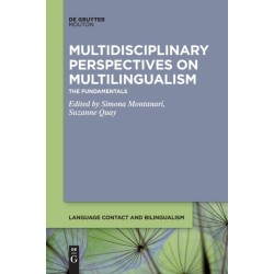 Multidisciplinary Perspectives on Multilingualism: The Fundamentals